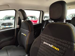 FIAT Panda usata 17