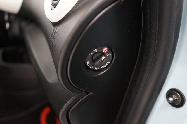 RENAULT Twingo Electric usata 29