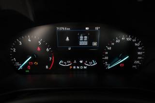 FORD Focus usata 6