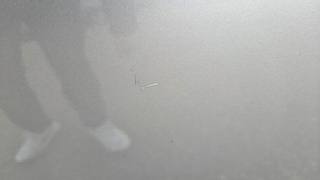 VOLKSWAGEN Golf usata, con Cerchi in lega