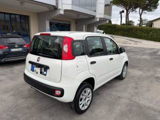 FIAT Panda usata, con Autoradio