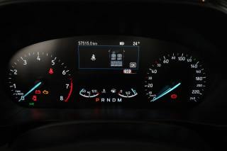 FORD Focus usata 6