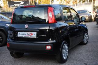 FIAT Panda usata, con Airbag Passeggero