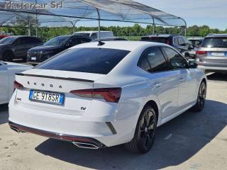 SKODA Octavia usata, con Antifurto