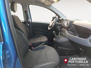 FIAT Panda usata, con Airbag testa