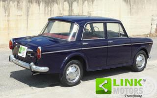 FIAT 1100 usata 4