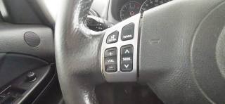 FIAT Sedici usata 38