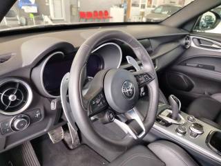 ALFA ROMEO Stelvio usata, con Airbag testa