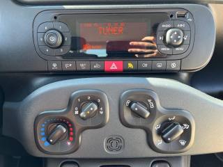 FIAT Panda usata 13