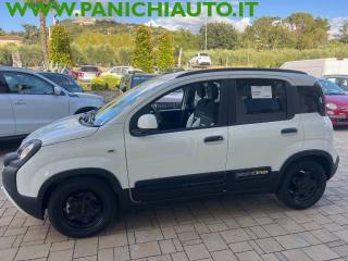 FIAT Panda usata, con Antifurto