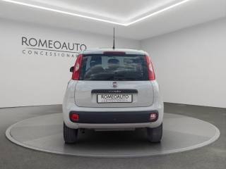 FIAT Panda usata, con Antifurto
