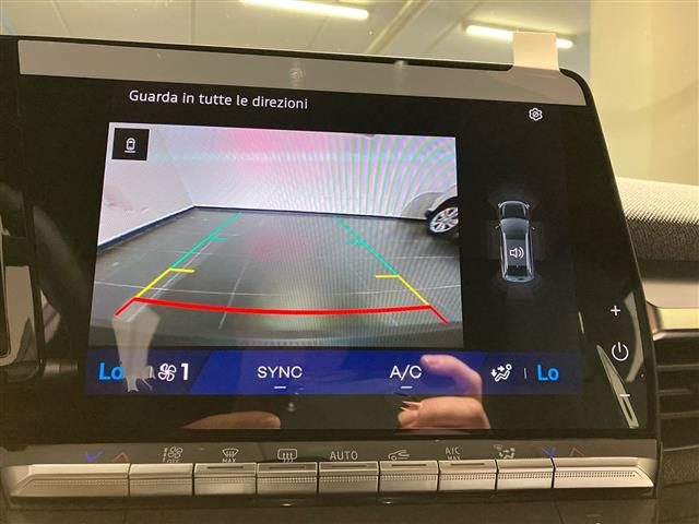 RENAULT Scenic usata, con Bracciolo