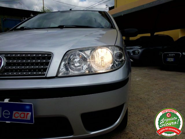 FIAT Punto usata 24