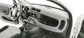 FIAT Panda usata 62
