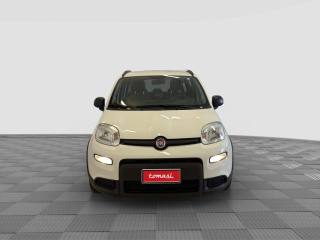 FIAT Panda usata 7