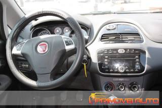 FIAT Punto usata 14