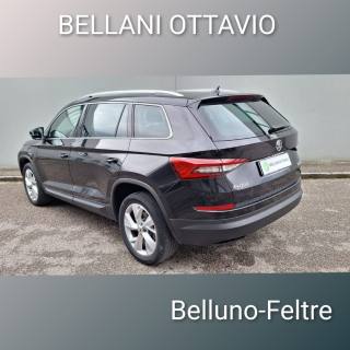 SKODA Kodiaq usata, con Cerchi in lega