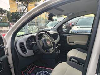 FIAT Panda usata, con Volante in pelle