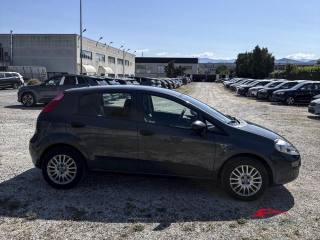 FIAT Punto usata 1