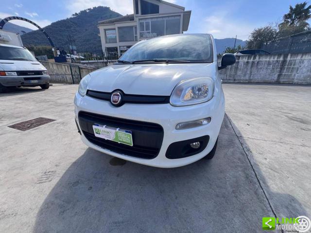 FIAT Panda usata, con Marmitta catalitica