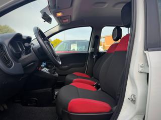 FIAT Panda usata 24