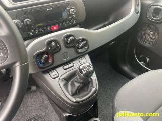 FIAT Panda usata 23