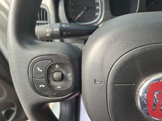 FIAT Panda usata 51