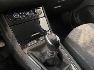 OPEL Grandland X usata, con Cruise Control