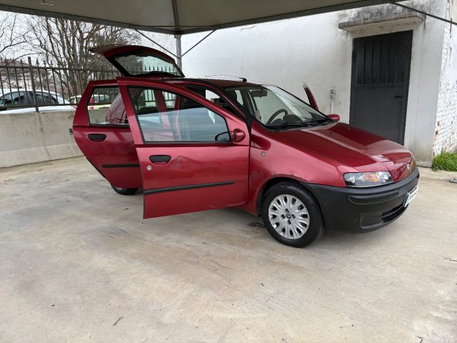 FIAT Punto usata 37