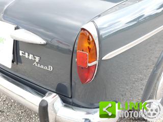 FIAT 1100 usata 32