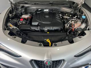 ALFA ROMEO Stelvio usata, con Cronologia tagliandi