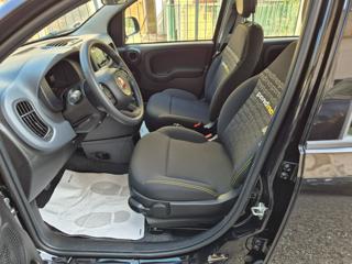 FIAT Panda usata, con Climatizzatore