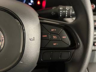 FIAT New Panda usata, con ESP