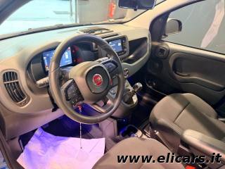 FIAT Pandina usata, con Controllo trazione