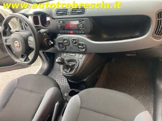 FIAT Panda usata, con Volante multifunzione