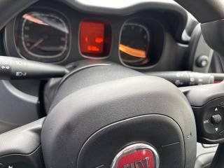 FIAT Panda Cross usata, con Climatizzatore