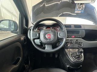 FIAT Panda usata 13