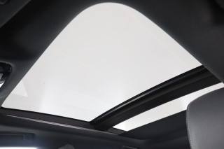 LEXUS RX 450h usata 14