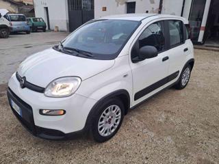 FIAT Panda usata, con Autoradio