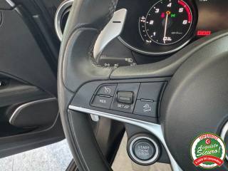 ALFA ROMEO Stelvio usata, con Cronologia tagliandi