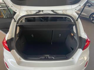 FORD Fiesta usata, con Immobilizzatore elettronico