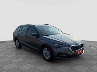 SKODA Octavia usata 6