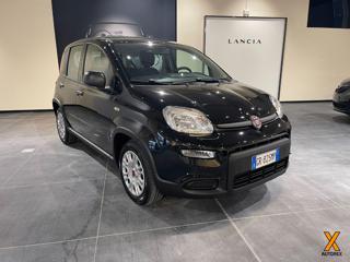 FIAT Panda usata, con Airbag Passeggero