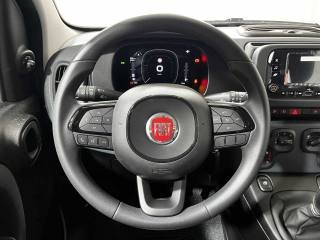 FIAT Panda usata 19