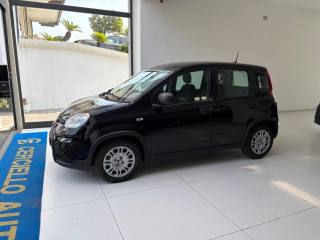 FIAT Panda usata, con Antifurto
