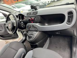 FIAT Panda usata, con Fendinebbia