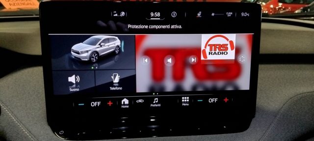 SKODA Enyaq iV usata, con Autoradio digitale