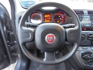 FIAT Panda usata 24