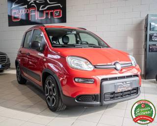 FIAT Panda usata, con Airbag Passeggero