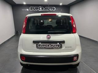 FIAT Panda usata, con Airbag Passeggero
